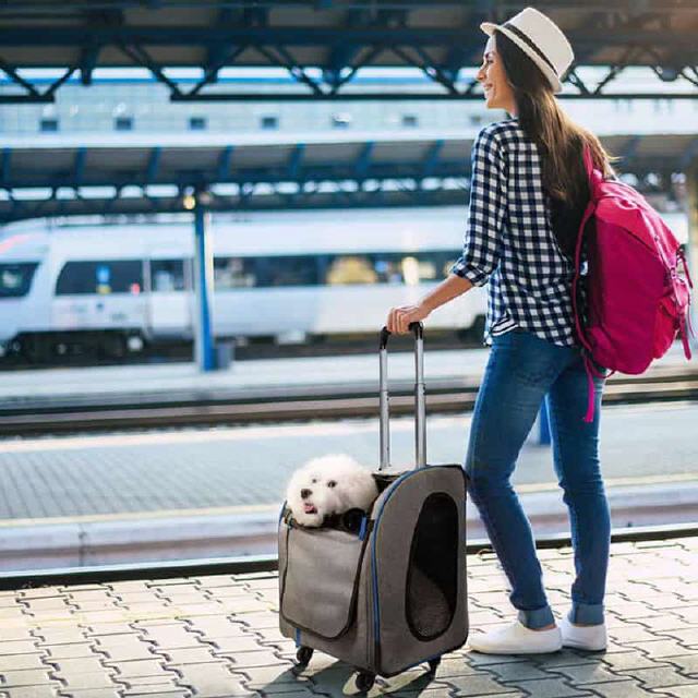 Torbe s kolesi za transport psov