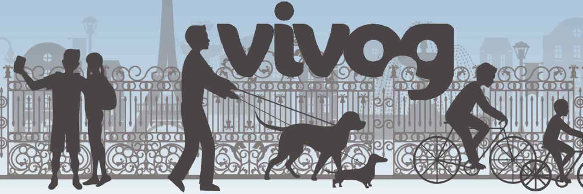 Vivog izdelki z ugodno ceno